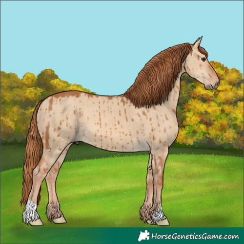 Horse Color:Red Dun Brindle 