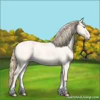Horse Color:Perlino Dun Varnish
