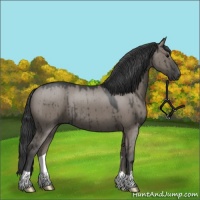 Horse Color:Grullo Brindle 