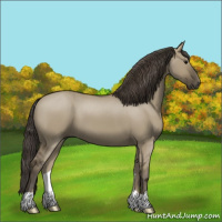 Horse Color:Smoky Grullo 