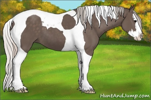 Horse Color:Silver Black Splash Tobiano 