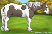 Horse Color:Silver Black Splash Tobiano