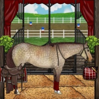 Horse Color:Chocolate Buckskin Dun 