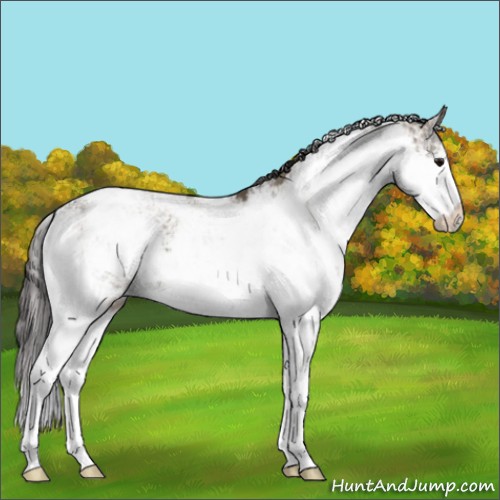 Horse Color:Smoky Grullo Sabino