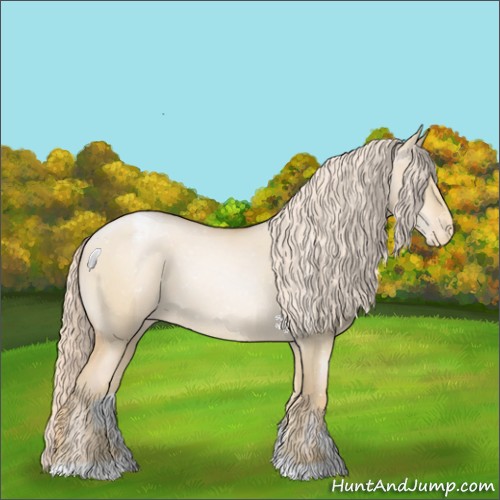 Horse Color:Palomino Snowdrop Dun Snowflake Varnish