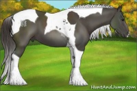 Horse Color:Smoky Black Tobiano 