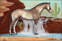 Horse Color:Red Onyx Roan 