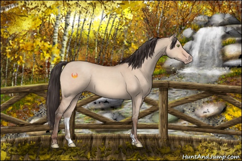 Horse Color:Amber Champagne Dun 