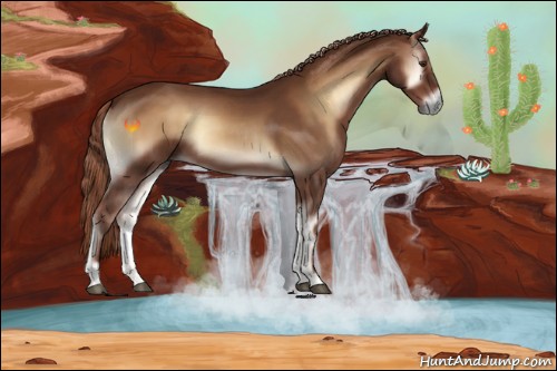 Horse Color:Red Onyx 