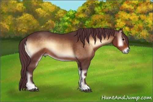 Horse Color:Chocolate Brown Onyx 