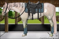 Horse Color:White Spotted Chocolate Palomino Pearl Dun Rabicano Brindle