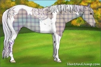 Horse Color:Watercolor Plaid Silver Buckskin Tobiano