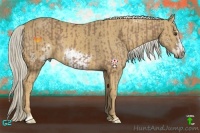 Horse Color:Chestnut Rabicano  and Palomino Sabino Frame 