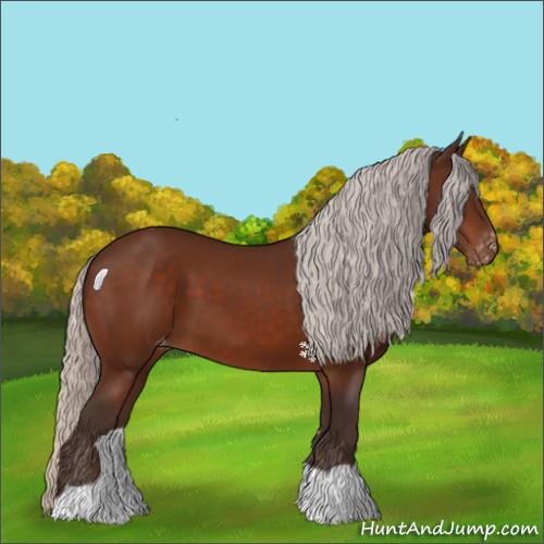 Horse Color:Silver Brown Appaloosa 