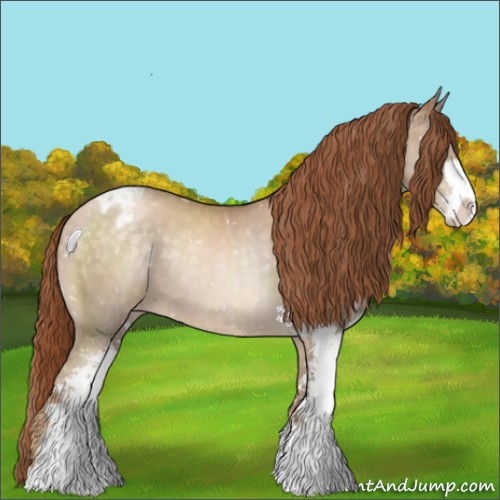 Horse Color:Buckskin Pearl Sabino Appaloosa 