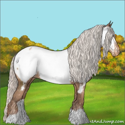 Horse Color:Silver Black Pearl Appaloosa 