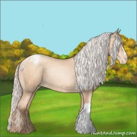 Horse Color:Silver Sable Champagne Pearl Appaloosa 
