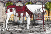 Horse Color:White Spotted Liver Chestnut Pearl Appaloosa 