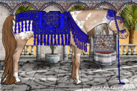 Horse Color:White Spotted Liver Chestnut Pearl Appaloosa 