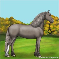 Horse Color:Silver Grullo Brindle