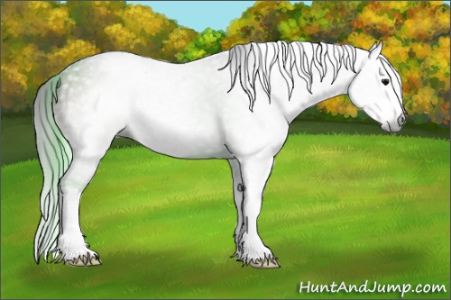 Horse Color:Gray Bay Ice Sabino Splash