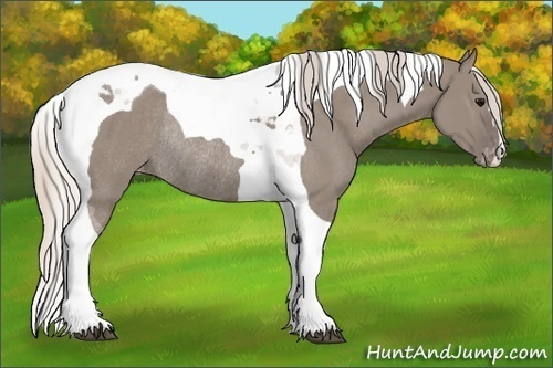 Horse Color:Silver Grullo Tobiano Varnish Rabicano