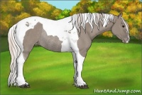 Horse Color:Silver Grullo Tobiano Appaloosa Rabicano