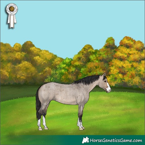 Horse Color:Bay Roan Dun 