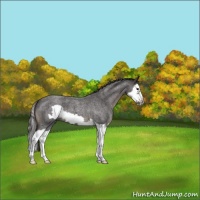 Horse Color:Smoky Blue Roan Splash Frame 