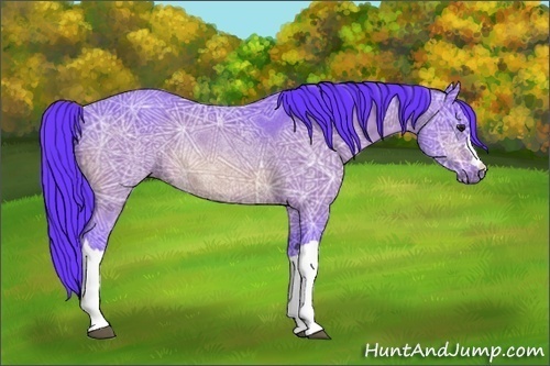 Horse Color:Watercolor Brown Ice Rabicano 