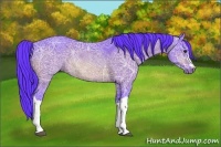 Horse Color:Watercolor Brown Ice Rabicano 