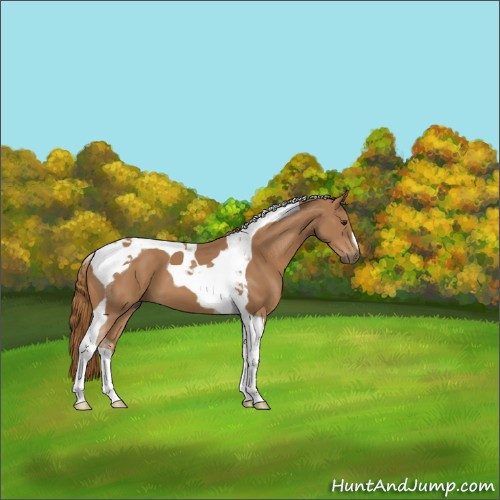 Horse Color:Chestnut Tobiano