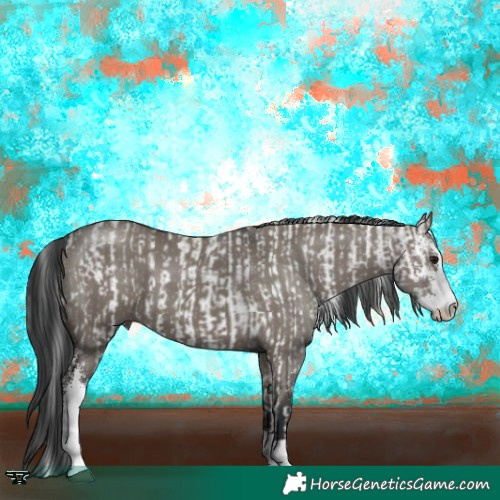 Horse Color:Brown Dun Sabino Rabicano and Grullo Sabino