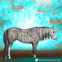Horse Color:Brown Dun Sabino Rabicano and Grullo Sabino