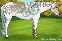 Horse Color:Liver Red Dun Sabino