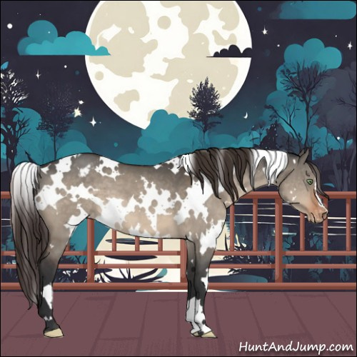 Horse Color:White Spotted Brown Dun Varnish