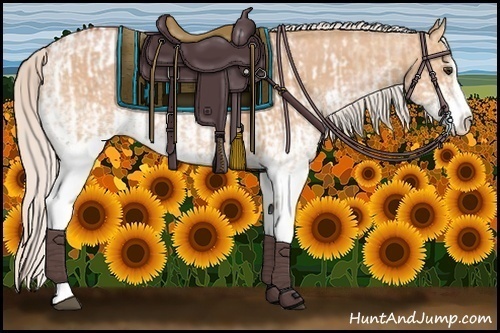 Horse Color:White Spotted Silver Bay Dun Appaloosa  and White Spotted Silver Bay Dun Splash 