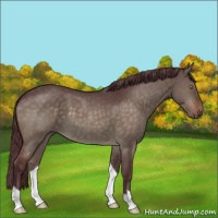 Horse Color:Chocolate Brown Dun