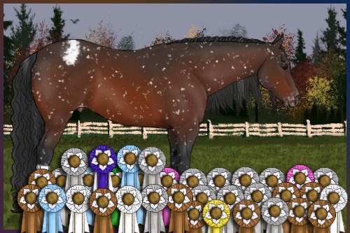 Horse Color:Brown Appaloosa