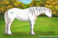 Horse Color:Silver Bay Ice Dun Tobiano Frame 