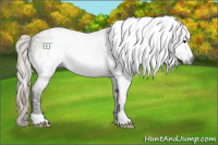 Horse Color:Gray Silver Grullo Ice Rabicano 