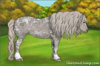 Horse Color:Silver Black Ice 