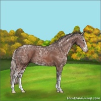 Horse Color:Silver Brown Ice Sabino 