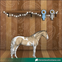 Horse Color:Silver Buckskin Dun Sabino Tobiano 