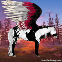 Horse Color:White Spotted Silver Bay Chinchilla Tobiano 