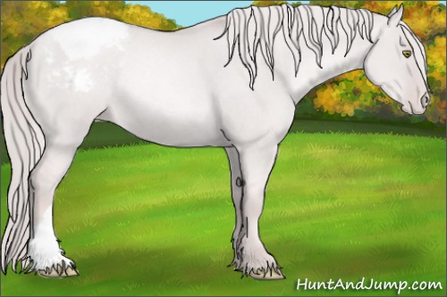 Horse Color:Platinum Red Dun Pearl Appaloosa Rabicano 