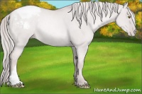 Horse Color:Platinum Red Dun Pearl Varnish Rabicano
