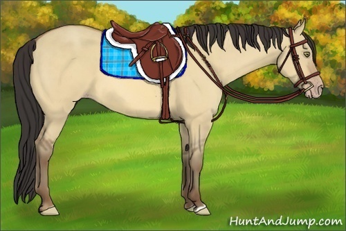 Horse Color:Amber Champagne Dun 