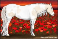 Horse Color:White Spotted Silver Buckskin Pearl Dun Tobiano Frame