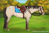Horse Color:Amber Champagne Roan Dun